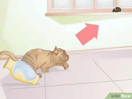 Image titled Get Your Cat to Stop Knocking Things Over Step 10