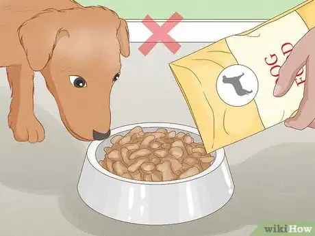 Image titled Get Your Dog to Lose 10 Pounds Step 6