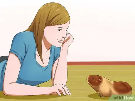 Image titled Get Your Guinea Pig to Trust You Step 3