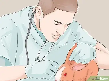 Image titled Diagnose Ear Mites in Rabbits Step 6