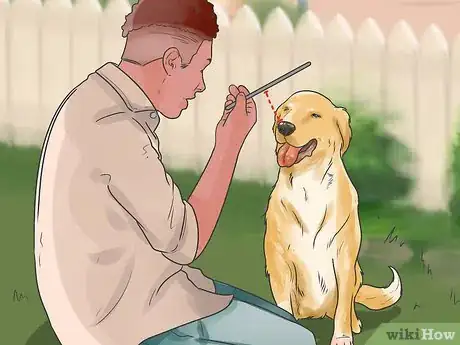 Image titled Teach Your Dog to Play Shy Step 10