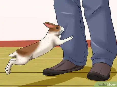 Image titled Teach Your Rabbit to Jump over Something Step 16