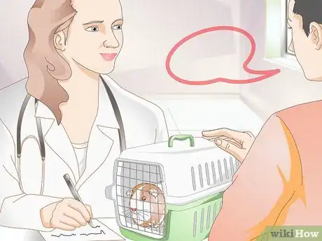 Image titled Diagnose Lumps in Guinea Pigs Step 9