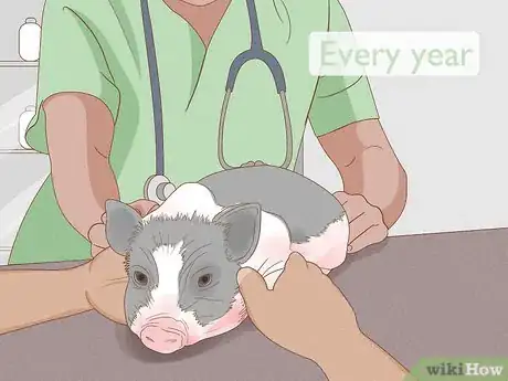 Image titled Care for a Miniature Potbellied Pig Step 13