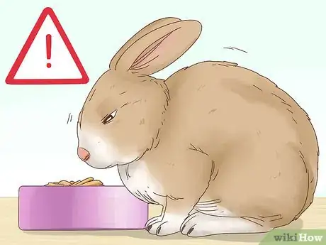 Image titled Get Rid of Ticks on Rabbits Step 8