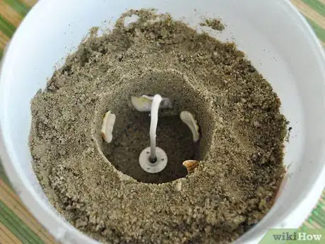 Image titled Make Sand Candles Step 6