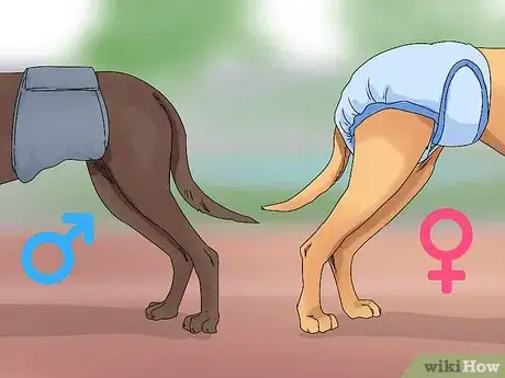 Image titled Help a Dog in Heat Step 1