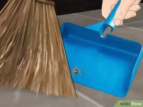 Image titled Get Spiders Out of Your House Without Killing Them Step 11