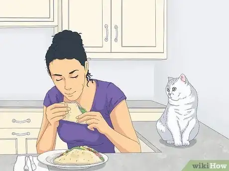 Image titled Eat Without a Cat Begging Step 1