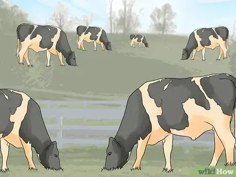 Image titled Start a Cattle Farm Step 1