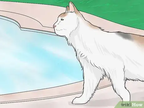 Image titled Identify a Turkish Van Step 9