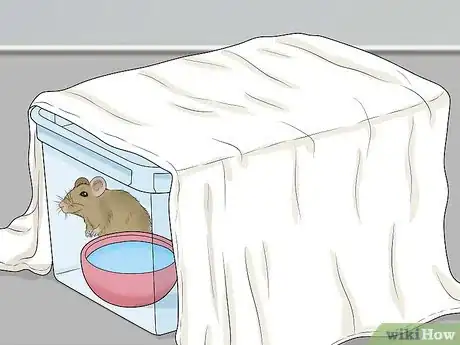 Image titled Remove a Live Mouse from a Sticky Trap Step 7