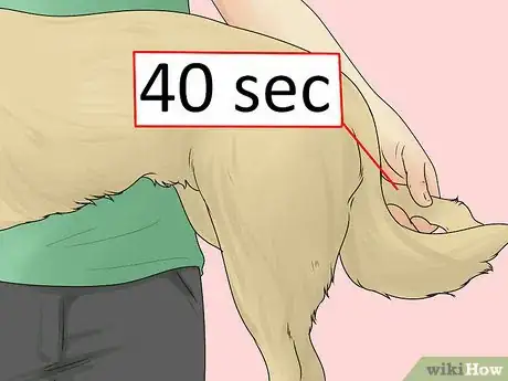 Image titled Relieve Hip Pain in Dogs Step 10