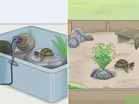 Image titled Make A Habitat for Hermann’s Tortoises Step 1