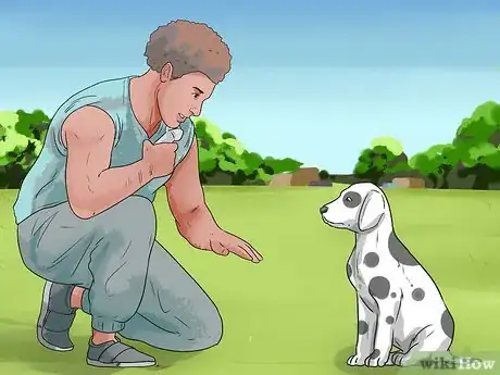 Image titled Care for a Dalmatian Step 20