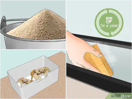 Image titled Look After Pet Crabs Step 15