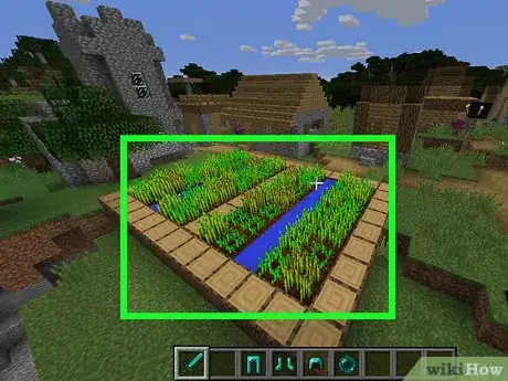 Image titled Get Carrots in Minecraft Step 1