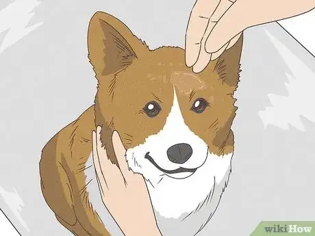 Image titled Give a Small Dog a Bath Step 5