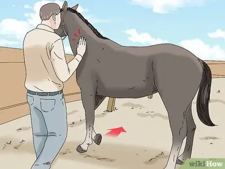 Image titled Teach Your Horse to Back up from the Ground Step 11