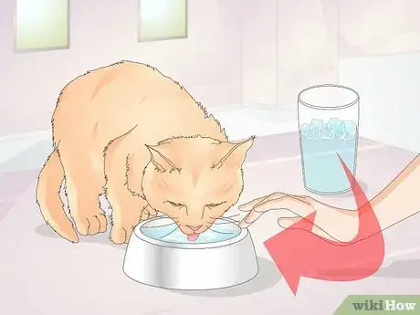 Image titled Keep Cats from Drinking Out of Glasses Step 5