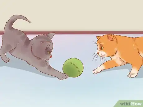 Image titled Stop a Cat from Biting or Scratching During Play Step 5