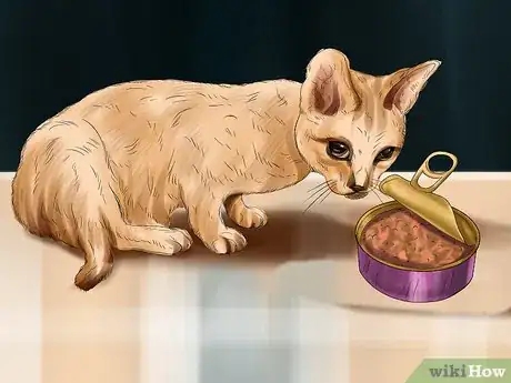 Image titled Stop Your Cat from Drooling Step 2