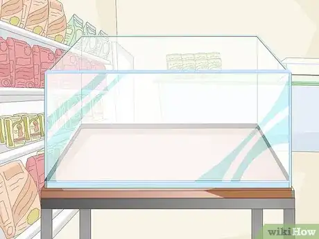 Image titled Set up a Coldwater Aquarium Step 2