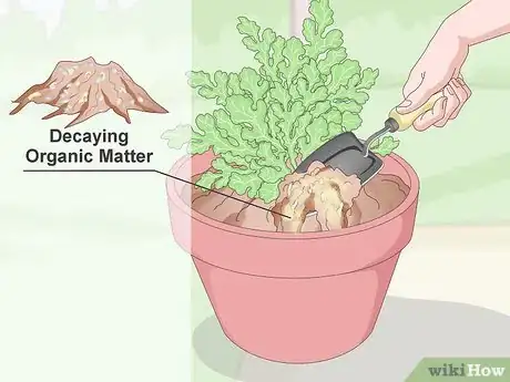 Image titled Keep Your Plants from Dying Step 7