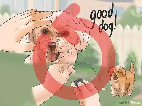 Image titled Teach Your Dog to Focus Step 10
