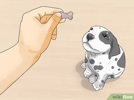 Image titled Care for a Dalmatian Step 19