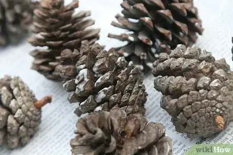 Image titled Make Scented Pine Cones Step 14