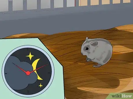 Image titled Care for Chinese Dwarf Hamsters Step 8