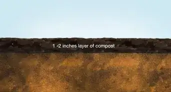 Add Compost to Plants