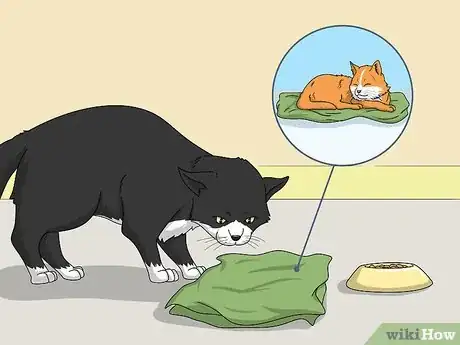 Image titled Introduce a Kitten to an Older Cat Step 3
