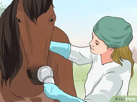 Image titled Treat Heaves in Horses Step 11