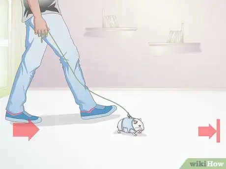 Image titled Walk Your Hamster Step 7