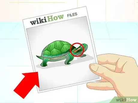 Image titled Put a Sucker Fish in a Tank With a Turtle Step 2