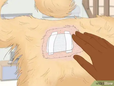 Image titled Remove a Dog’s Skin Tags at Home Step 10