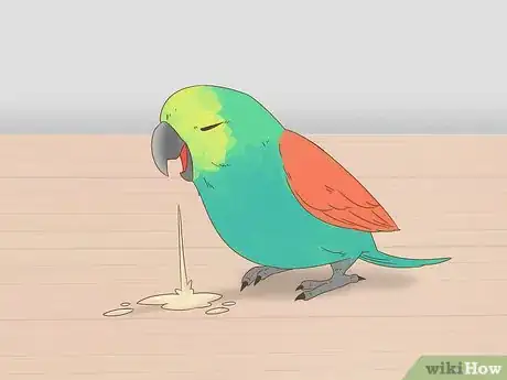 Image titled Know if Your Bird Is Sick Step 9