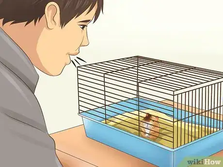 Image titled Tame a Hamster Step 4