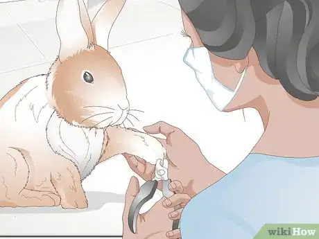Image titled Trim Rabbit Toenails Step 9