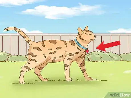 Image titled Keep a Bengal Cat Happy Step 12