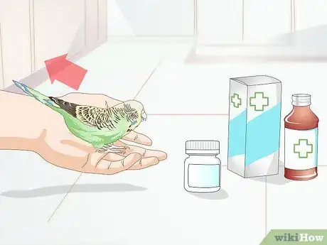 Image titled Avoid Poisoning Your Pet Bird Step 5