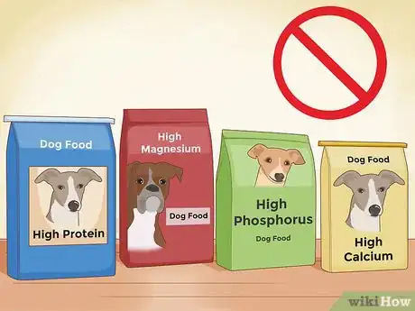 Image titled Prevent Kidney Stones in Dogs Step 6