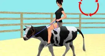 Train a Cow to be Ridden