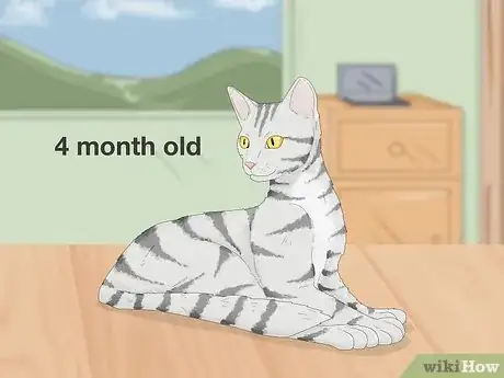 Image titled Tell if a Cat is Pregnant Step 1