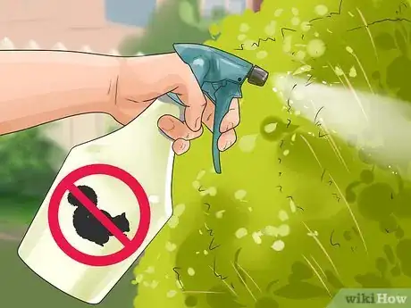 Image titled Stop a Dog from Killing Squirrels Step 10