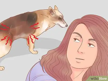 Image titled Get a Dog to Stop Whining Step 2