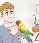 Treat Psittacine Beak and Feather Disease in Cockatoos
