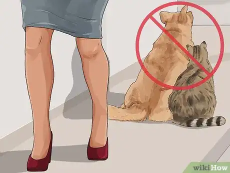 Image titled Know if a Pet Bite Is Serious Step 13